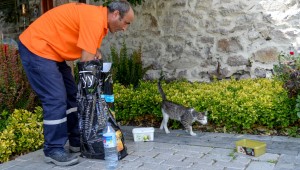 ULUCANLAR'IN "CAN DOST"LARI