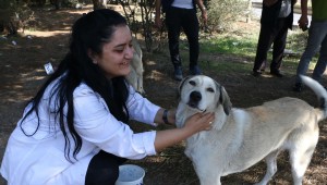 Kartal Belediyesi'nden 4 Ekim'de Sokak Hayvanlarına Mama Desteği