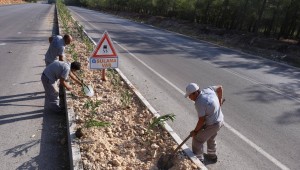 Kepez'in caddeleri çiçek açıyor