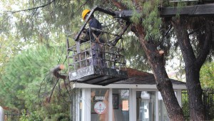 Park ve Bahçelerde Temizlik ve Bakım Çalışmaları Devam Ediyor