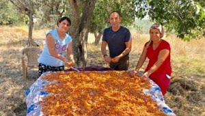 Urla Tarhana Şenliği başlıyor