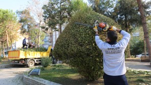 ADNAN MENDERES MAHALLESİ'NDE YEŞİL ALANLARA BAKIM