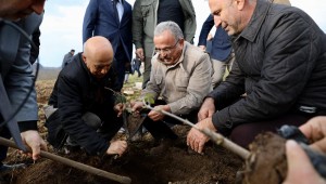 ORDU BÜYÜKŞEHİRDEN GÜRGENTEPE'YE ÇIKARMA