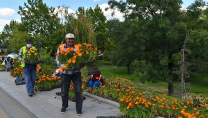 BAŞKENT ARTIK DAHA YEŞİL 