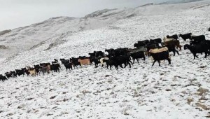 TOROSLAR'A İLK KAR DÜŞTÜ