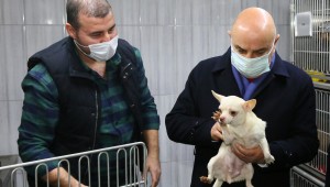 KEÇİÖREN'DEKİ KÖPEKLERİ SAHİPLENMEK İÇİN YOĞUN TALEP