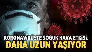 Koronavirüste soğuk hava etkisi: Daha uzun yaşıyor