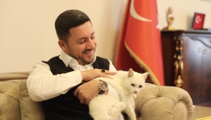 BELEDİYE BAŞKANI ARI, BİR AYAĞI OLMAYAN SOKAK KEDİSİNİ SAHİPLENDİ