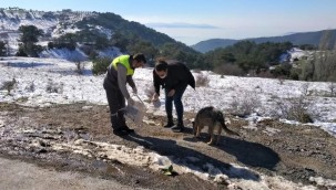 KEMALPAŞA BELEDİYESİ CAN DOSTLARI UNUTMUYOR