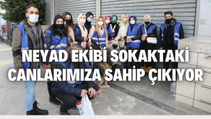 NEYAD EKİBİ SOKAKTAKİ CANLARIMIZA SAHİP ÇIKIYOR