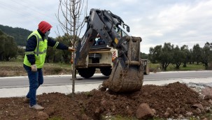 Aliağa Belediyesi'nden Bozköy'e 75 Adet Süs Armudu