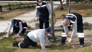 Timuçin Gülnar Parkı'nda sona doğru