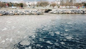 Pendik ve Kartal sahilindeki kirliliğin sebebi belli oldu