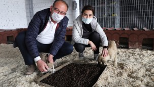 Başkan Çetin Akın'dan "Satın Almayın, Sahiplenin" Çağrısı