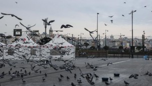 İçişleri Bakanlığından 'Kısmi kapanma' genelgesi