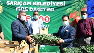 SARIÇAM BELDİYESİ'NDEN REKOR FİDE DAĞITIMI