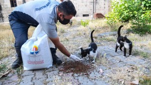 Büyükşehir, halka hizmeti her kulvarda aralıksız sürdürüyor