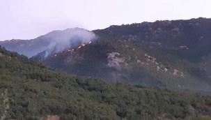 Elazığ'daki yangın 3 gündür sürüyor