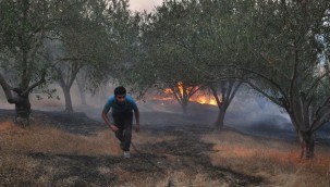 Antalya orman yangını nedeniyle Oymapınar Göleti'nde mahsur kalan 10 kişiyi AFAD ekipleri kurtardı.