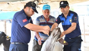 SARIÇAM'DA KURBAN SATIŞ YERLERİ HAZIR