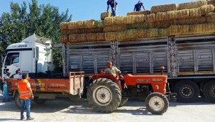 BODRUM BELEDİYESİ YANGIN MAĞDURLARINA DESTEK OLMAYA DEVAM EDİYOR