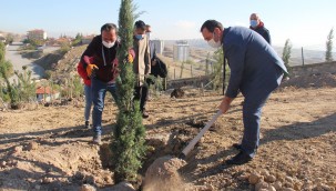 ETİMESGUT ORMANLARI GELECEĞE NEFES OLUYOR