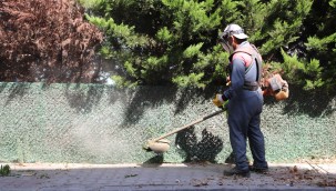 Kartal'da Yabani Otlar Biçilerek Temizlik Çalışmaları Yapılıyor