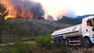 Osmangazi Ekipleri Yangın Bölgesinde Ekipler Yaraları Sarmaya Devam Ediyor