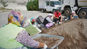 Seralarda Kışa Hazırlık Çalışmaları