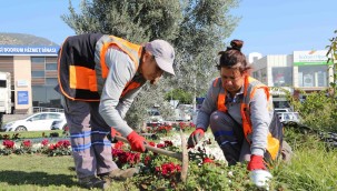 BODRUM BELEDİYESİ KENTİ DOĞAL GÖRÜNTÜSÜNE KAVUŞTURUYOR