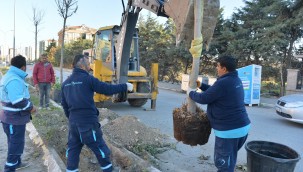 KENT AĞAÇLANDIRMA ÇALIŞMALARI DEVAM EDİYOR