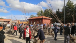 ÇAMELİ BELEDİYESİ'NDEN ÜCRETSİZ CEVİZ FİDAN DAĞITIMI ​​​​​​​