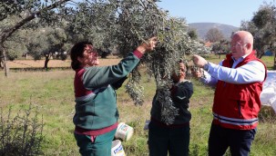 Menteşe'nin Yeni Yıl Ajandasında Tarımsal Üretim Var