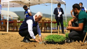 Muğla'da üreticiler bilinçli üretim yapıyor