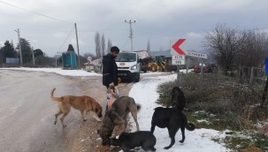 BİLECİK BELEDİYESİNDEN SOĞUK GÜNLERDE İÇİNİZİ ISITACAK ÇALIŞMA