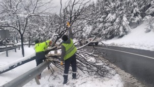          Gebze bölgesinde kar yağışında