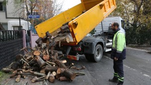 KÜÇÜKÇEKMECE'DE BUDANAN AĞAÇ DALLARI EVLERİ ISITIYOR