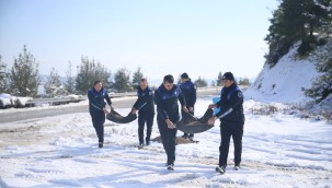 PAMUKKALE BELEDİYESİ YABAN HAYVANLARINI DA UNUTMADI