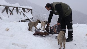 Patili dostlarımızı ellerimizle besliyoruz