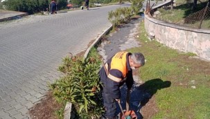 AYVALIK YAZ SEZONUNA HAZIRLANIYOR