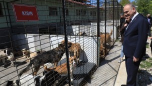 BELEDİYE BAŞKANLARI SOKAK HAYVANLARI İÇİN TOPLANDI