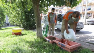 Buca Belediyesi 3 yılda 28 bin can dostuna hizmet verdi