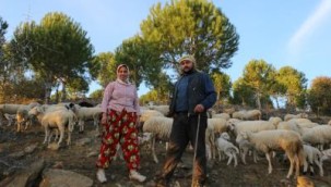 İzmir'in Çoban Haritası çıkarıldı