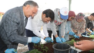 Uşak Belediyesi Ata Tohumunun Devamlılığını Sağlayacak