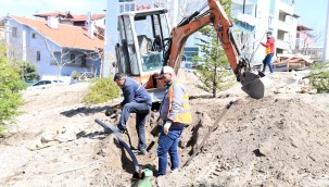 Yeni park alanları kazandırılıyor onlarca ağaç toprakla buluşuyor