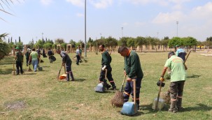 TOROSLAR'DA DİP KÖŞE TEMİZLİK