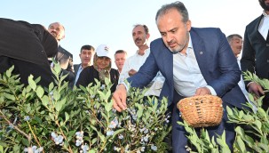 Büyükşehir'in tarlada izi var