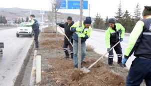 Çankırı'yı ıhlamur kokuları saracak