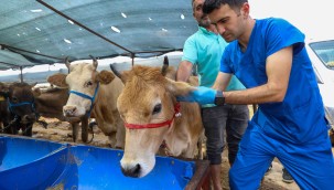 -Buca Belediyesi'nde Kurban Bayramı mesaisi