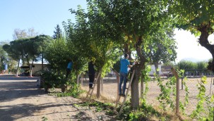 Turgutlu Belediyesi Park ve Bahçeler Müdürlüğü Ekiplerinden Yoğun Mesai